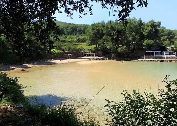 Lägenhet Family-friendly With Swimming Pool Jelsa, Hvar - 22432